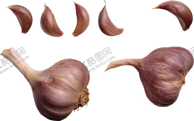 编号：18357709211343007873【酷图网】源文件下载-大蒜