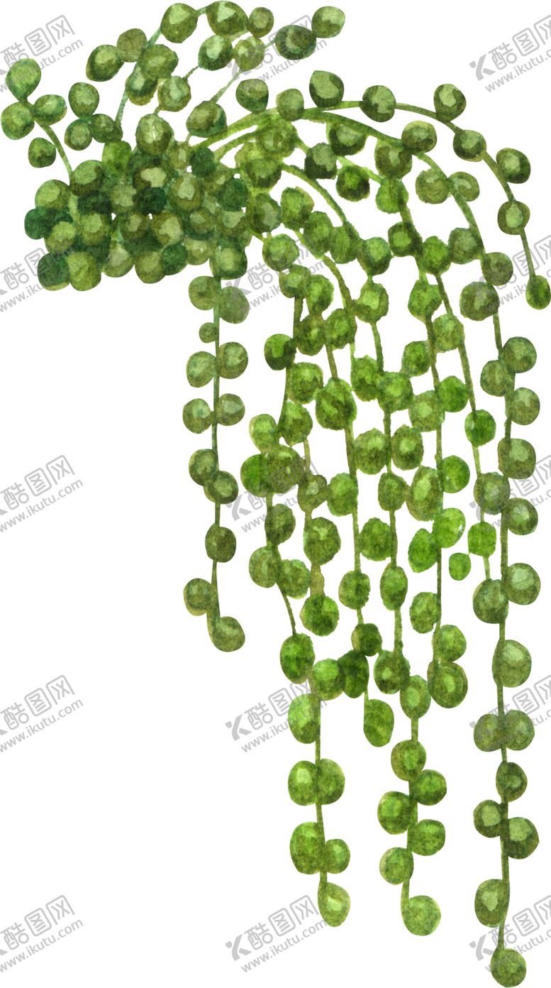 编号：67800209201217322753【酷图网】源文件下载-绿植水彩插画