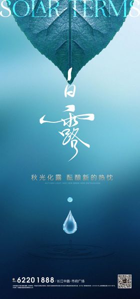 白露