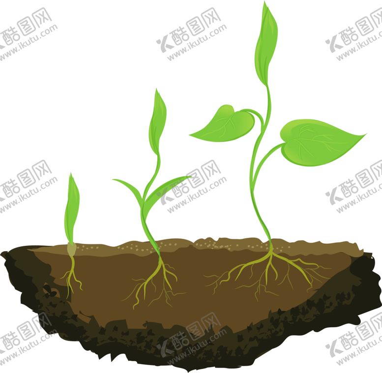 编号：11426010192142384136【酷图网】源文件下载-绿色装饰