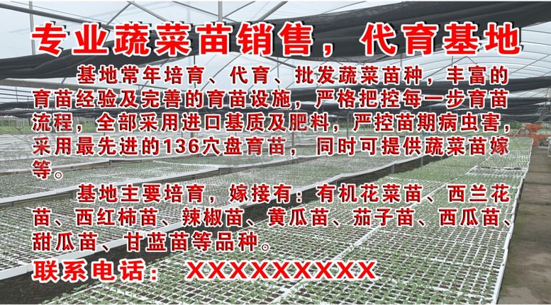 编号：12796810211513475483【酷图网】源文件下载-蔬菜基地
