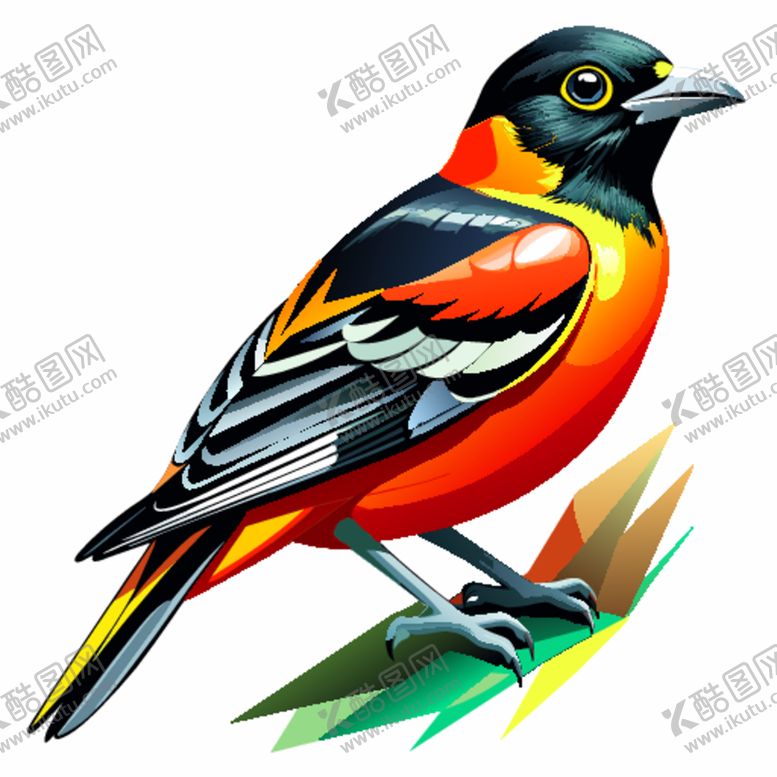 编号：39089901131641253510【酷图网】源文件下载-拟真风格戴胜