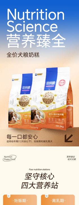 蓝色渐变宠物用品猫粮狗粮喂食器