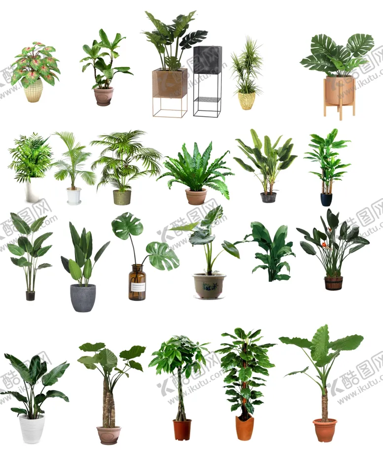 编号：11876804171822066789【酷图网】源文件下载-植物PNG