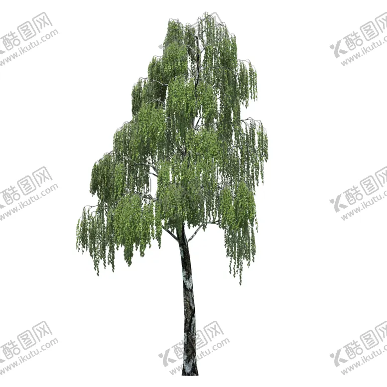 编号：74539406252227263692【酷图网】源文件下载-景观树