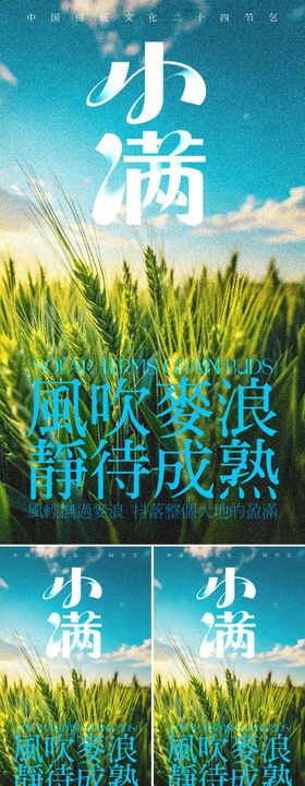 小满节气海报麦穗二十四创意系列