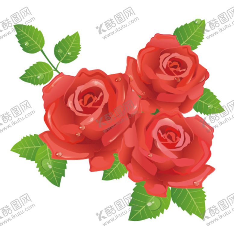 编号：36250709281658498417【酷图网】源文件下载-玫瑰花