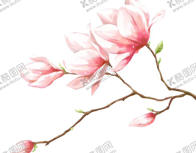 编号：03184909241351091738【酷图网】源文件下载-花朵  