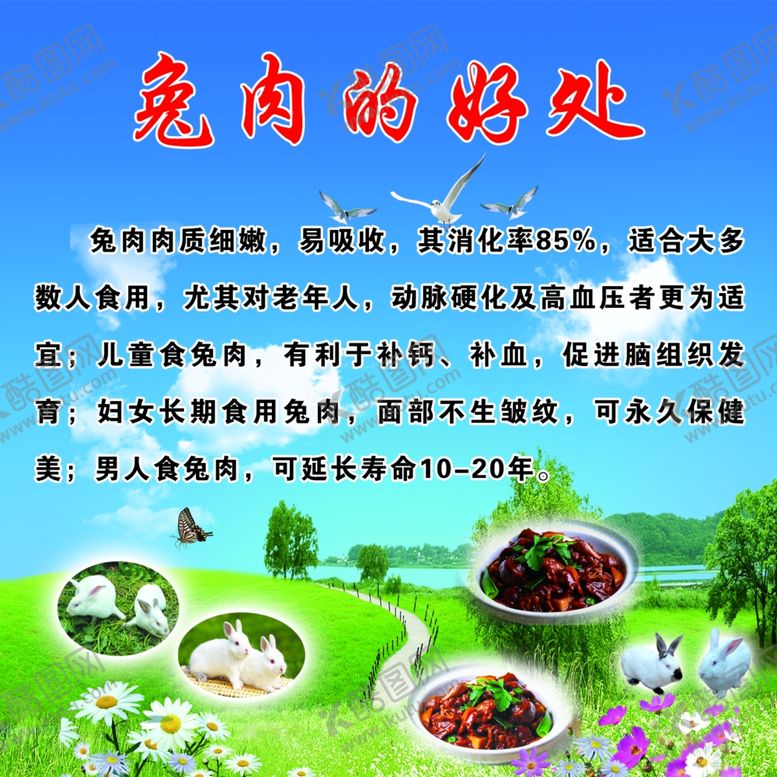 编号：51047905020140098591【酷图网】源文件下载-兔肉