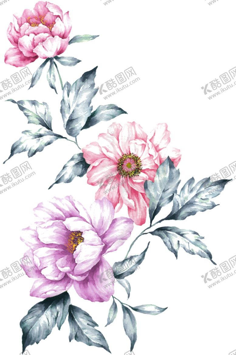 编号：29849406260254046951【酷图网】源文件下载-手绘花