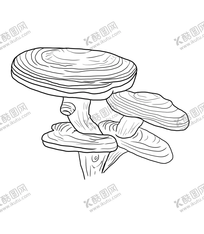 编号：46704206250055433059【酷图网】源文件下载-灵芝