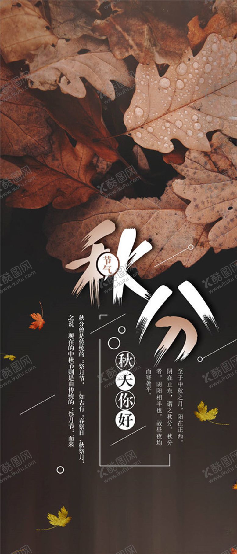 编号：28198305121411539872【酷图网】源文件下载-秋分手机海报