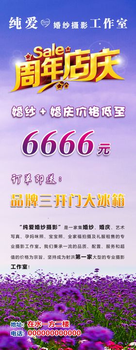 紫色薰衣草展架