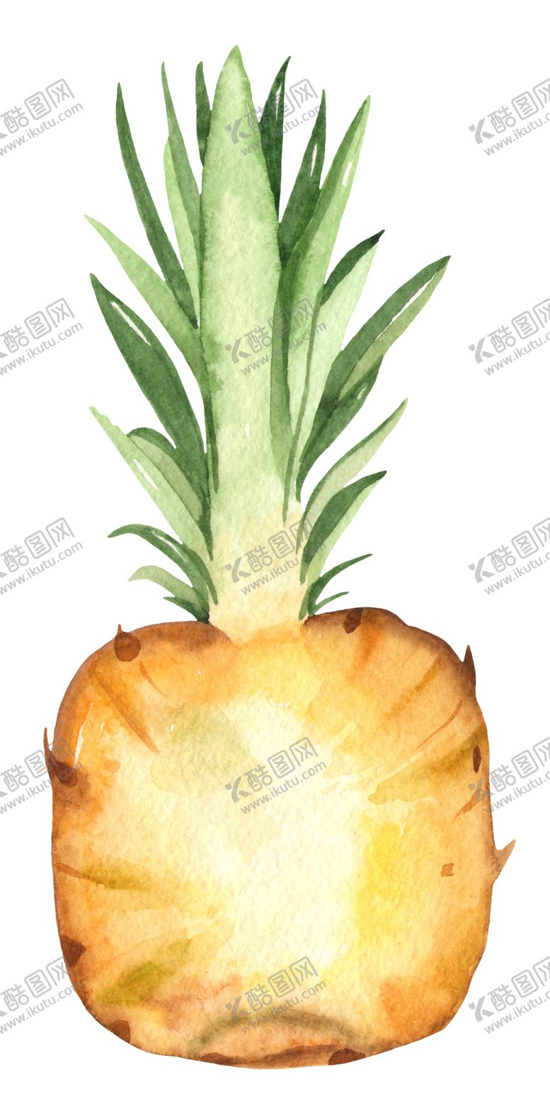 编号：54125110022053094110【酷图网】源文件下载-水果