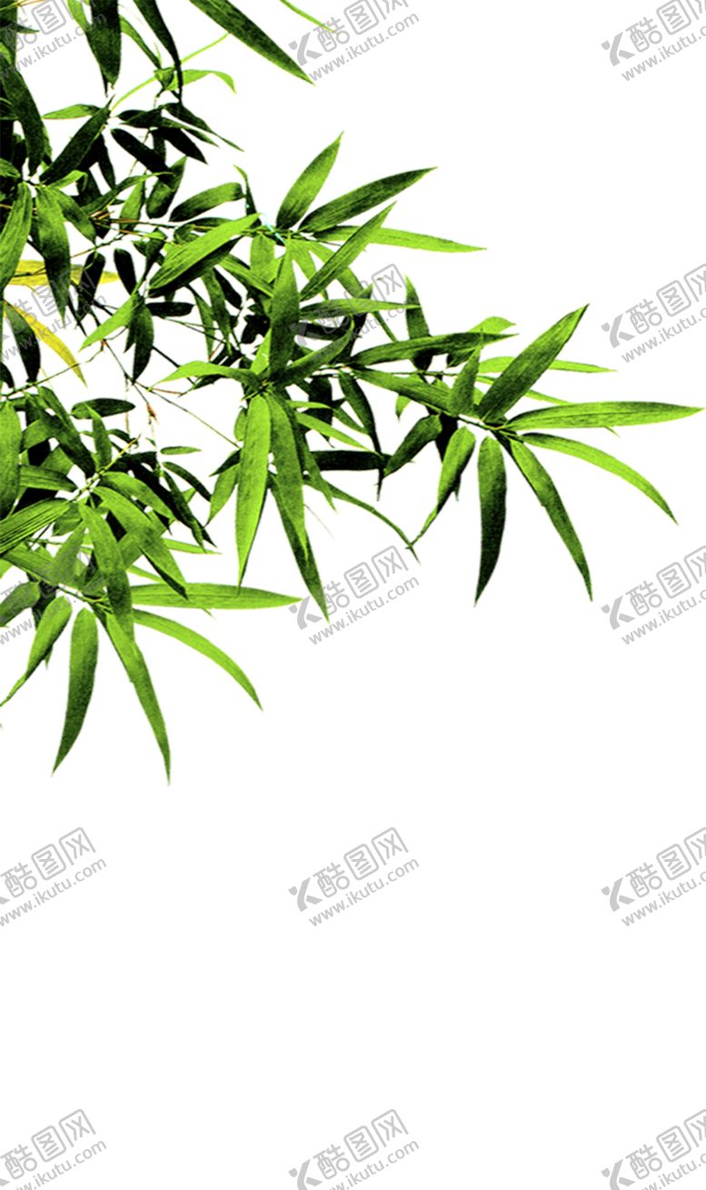 编号：93447609082256212822【酷图网】源文件下载-竹子竹叶