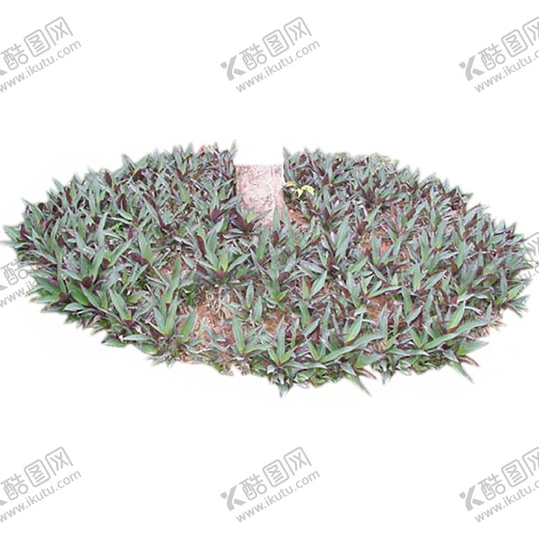 编号：91955109220633483399【酷图网】源文件下载-绿色相框