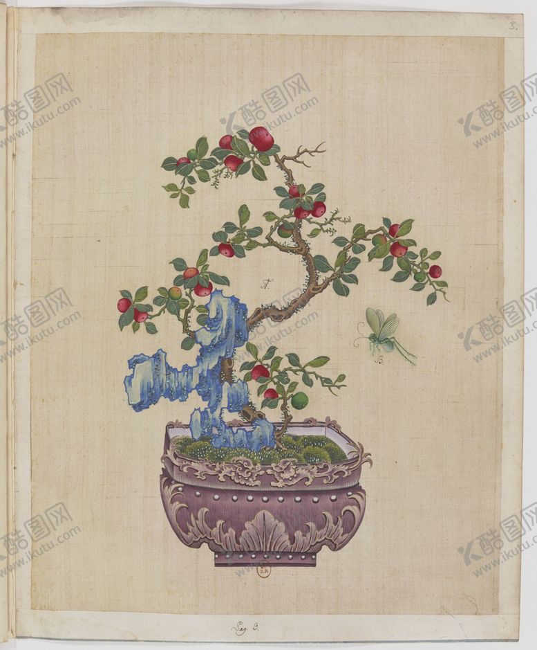 编号：45220406151645518780【酷图网】源文件下载-盆景花鸟