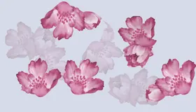 数码印花大牌方巾抽象