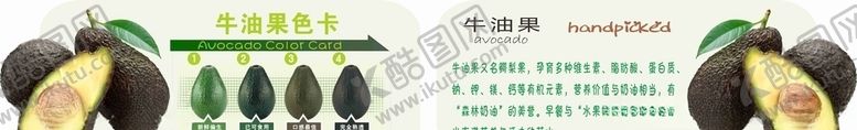 编号：89469109180736156478【酷图网】源文件下载-牛油果色卡