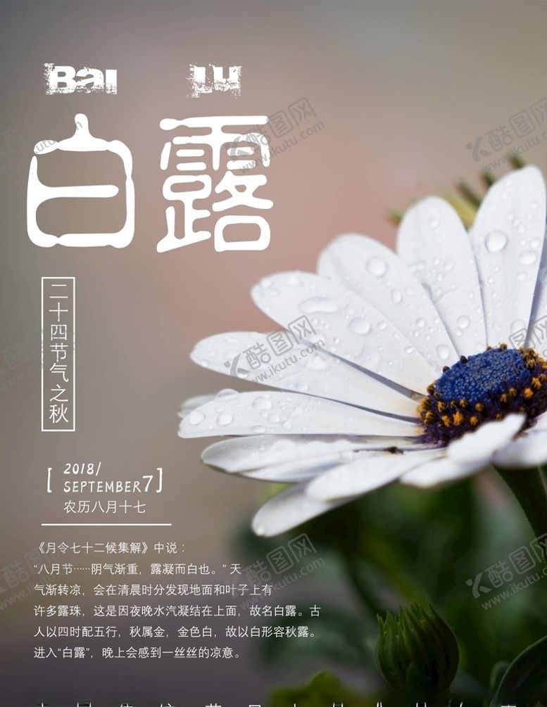 编号：74236605112249112977【酷图网】源文件下载-白露