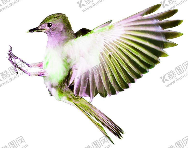 编号：93782509151932246542【酷图网】源文件下载-浪漫素材