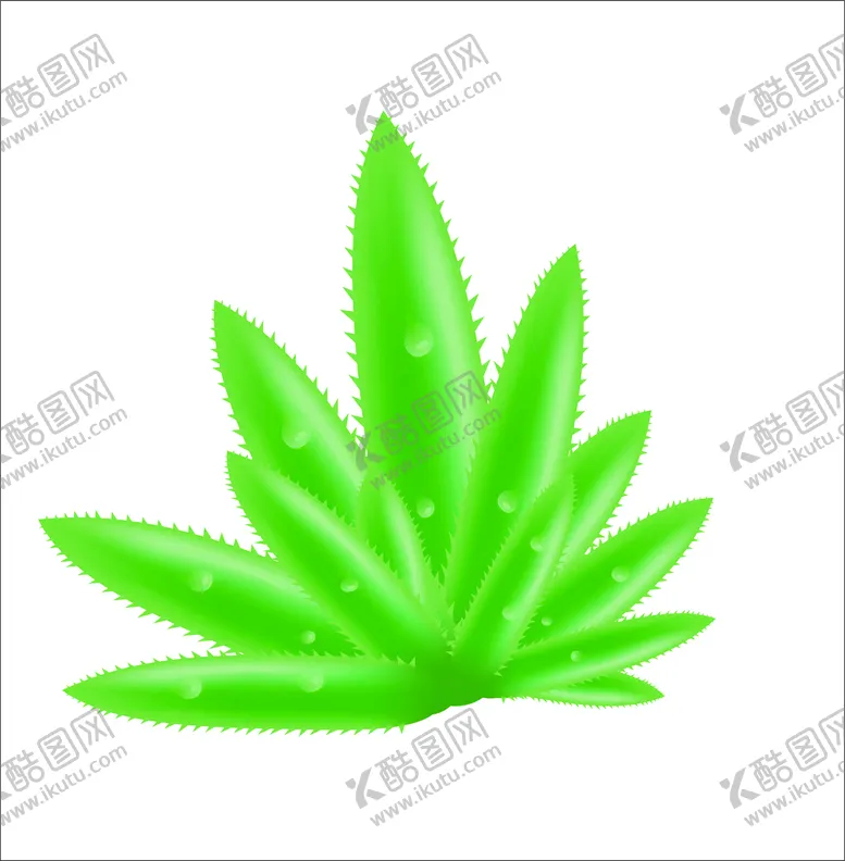 编号：70348209162108112803【酷图网】源文件下载-芦荟