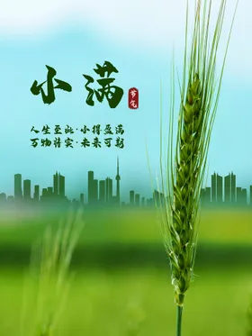 小满夏至地产单图节气海报