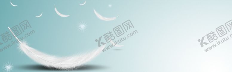 编号：95661110280033116599【酷图网】源文件下载-羽毛