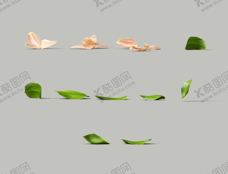 编号：80237009231308206259【酷图网】源文件下载-植物样机