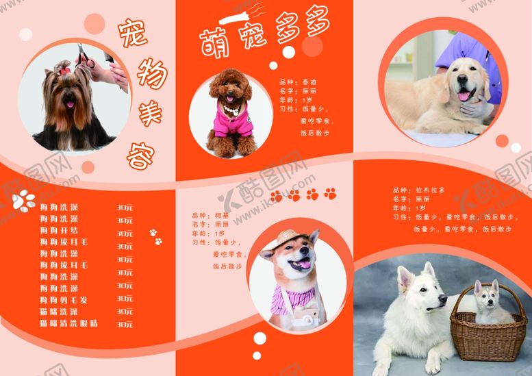 编号：58438910242137257996【酷图网】源文件下载-宠物海报
