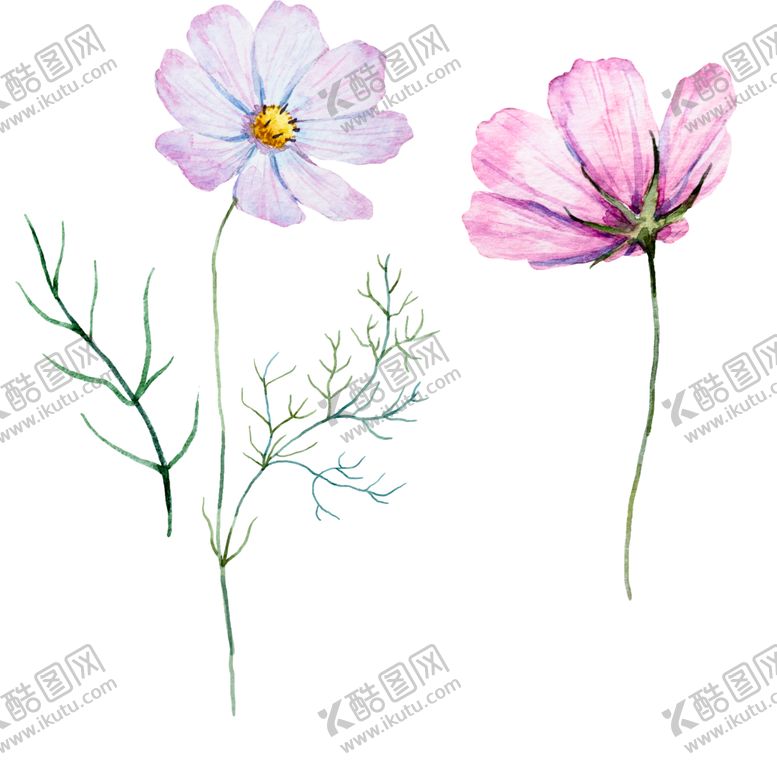 编号：26062110291126247355【酷图网】源文件下载-手绘植物