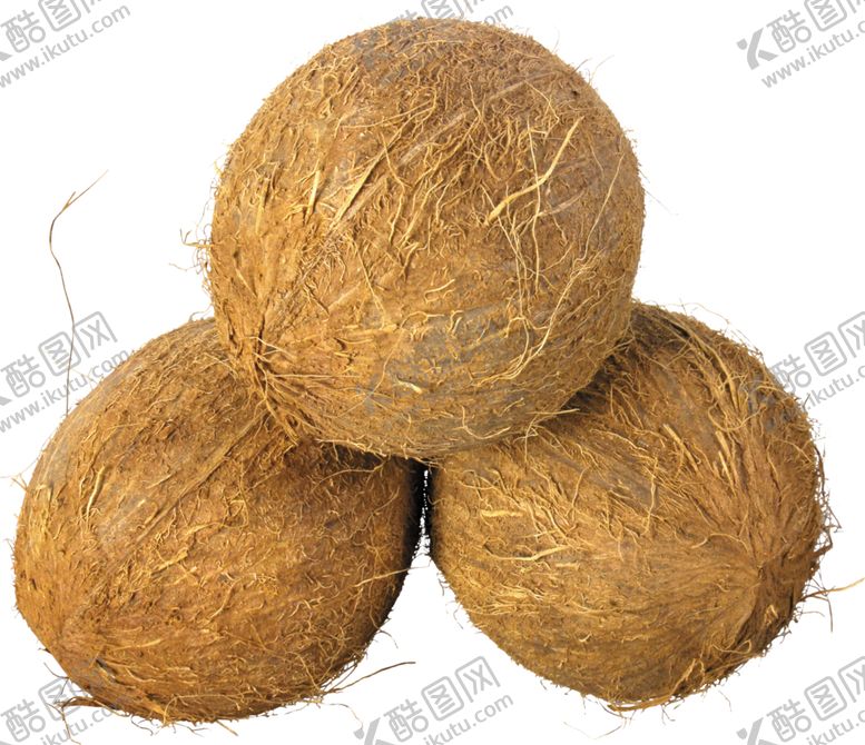 编号：87506509210805291335【酷图网】源文件下载-椰子