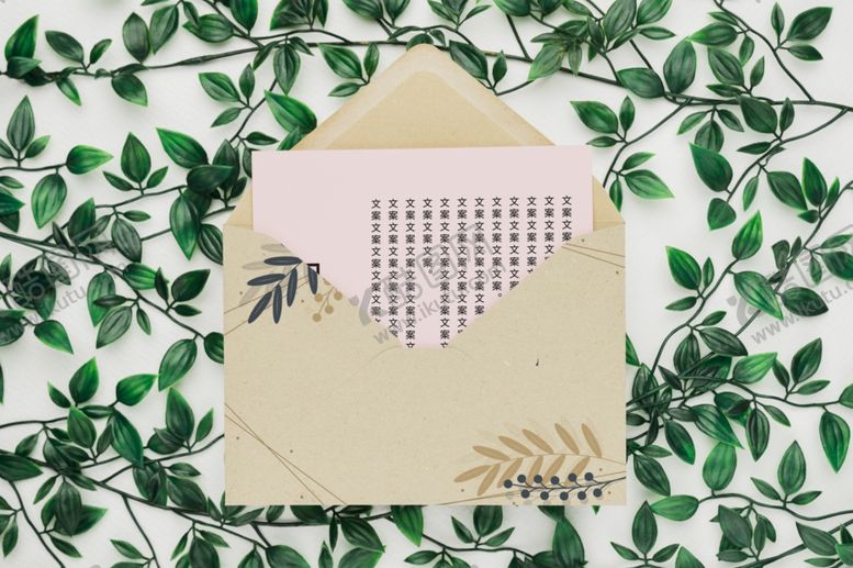 编号：10279909230124415733【酷图网】源文件下载-信封样机