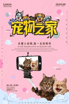 宠物海报