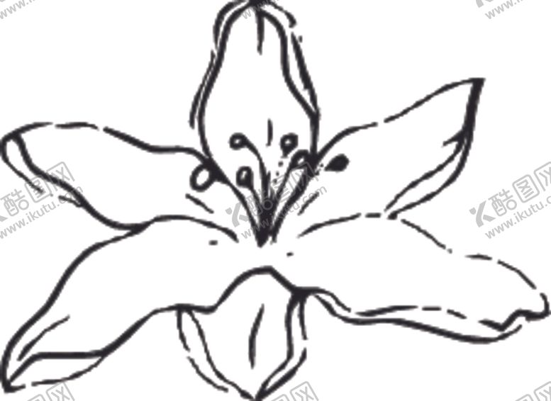 编号：74667009231643549916【酷图网】源文件下载-手绘花卉元素