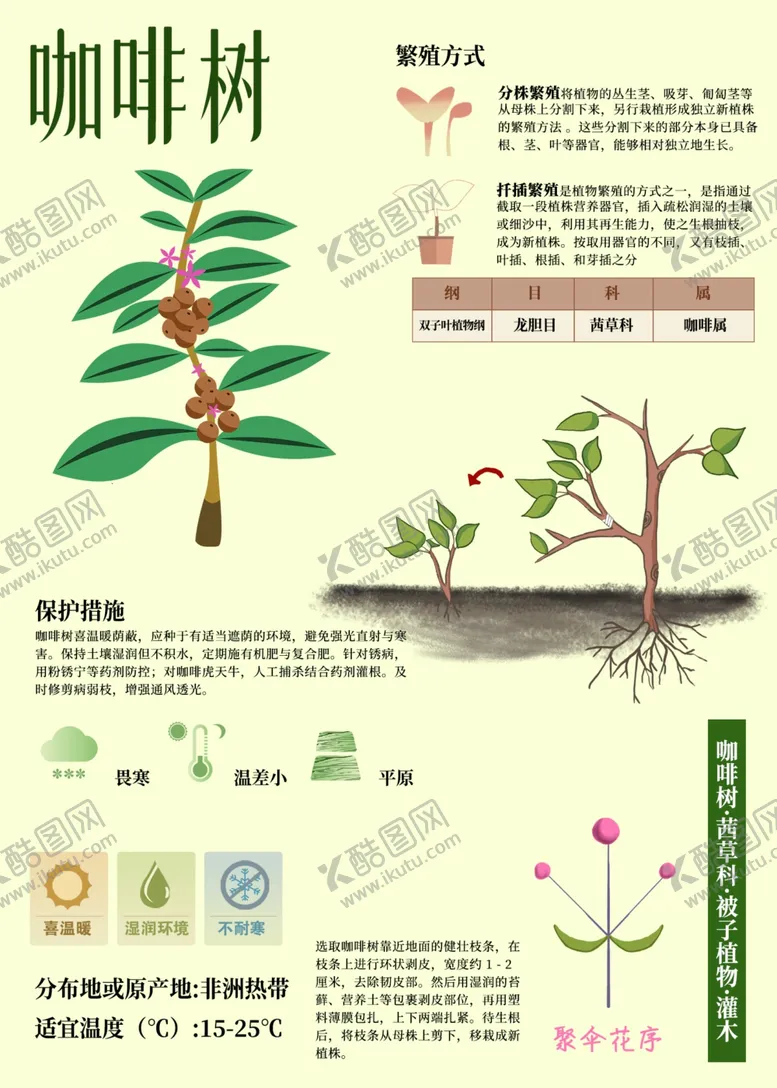编号：40924602261152516023【酷图网】源文件下载-植物展板