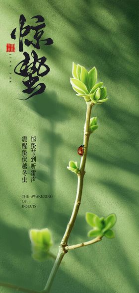 传统24节气惊蛰创意海报