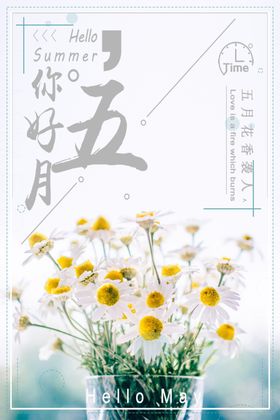 你好五月