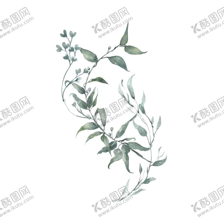编号：57835009241700522492【酷图网】源文件下载-小清新水彩植物树枝