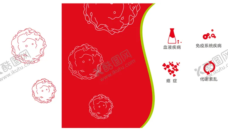 编号：61872111031452486387【酷图网】源文件下载-干细胞简笔画  