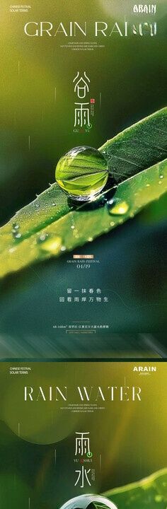 地产谷雨雨水露珠海报