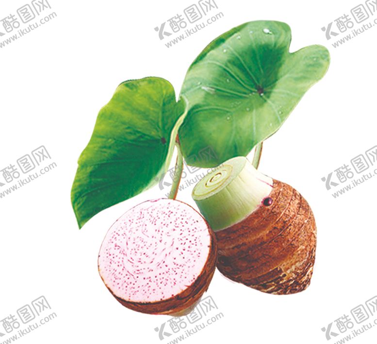 编号：53537110302057518626【酷图网】源文件下载-芋头