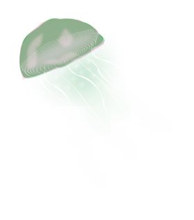 水母