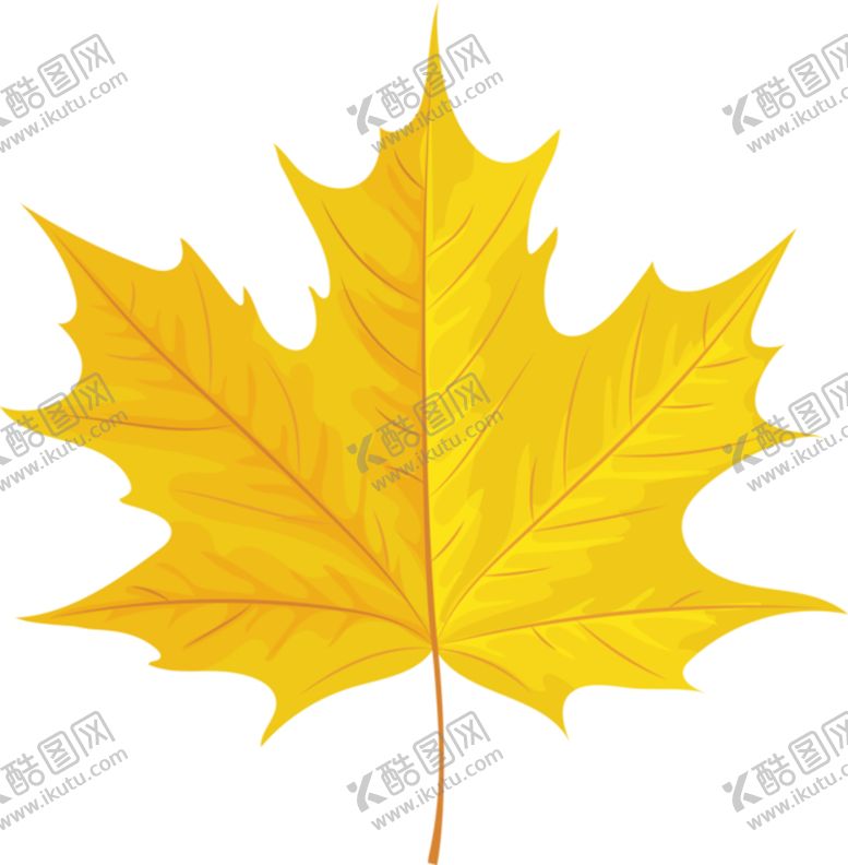 编号：79778309260231076205【酷图网】源文件下载-秋天的黄色叶子