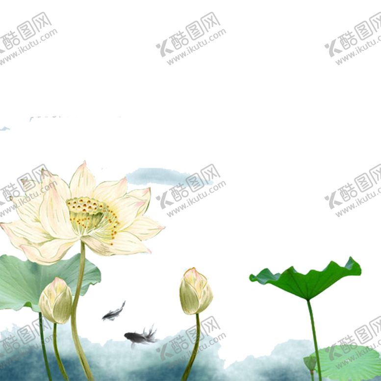 编号：56231301190225055812【酷图网】源文件下载-荷花素材