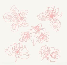 粉色桃花创意图案