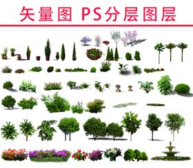 园林景观树木植物绿化图片