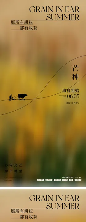 简约创意大气24节气芒种海报