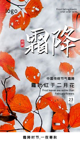 霜降海报