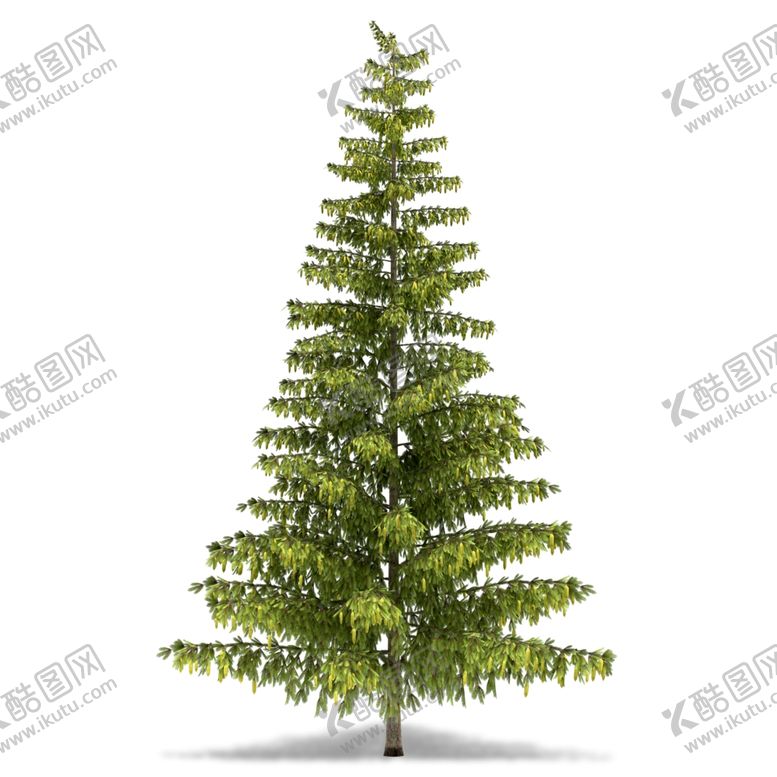 编号：50453110290627049166【酷图网】源文件下载-树木